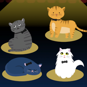 Kitty Pawpera